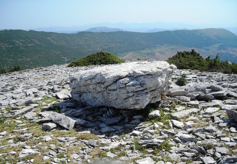 Irunsario  zutarria