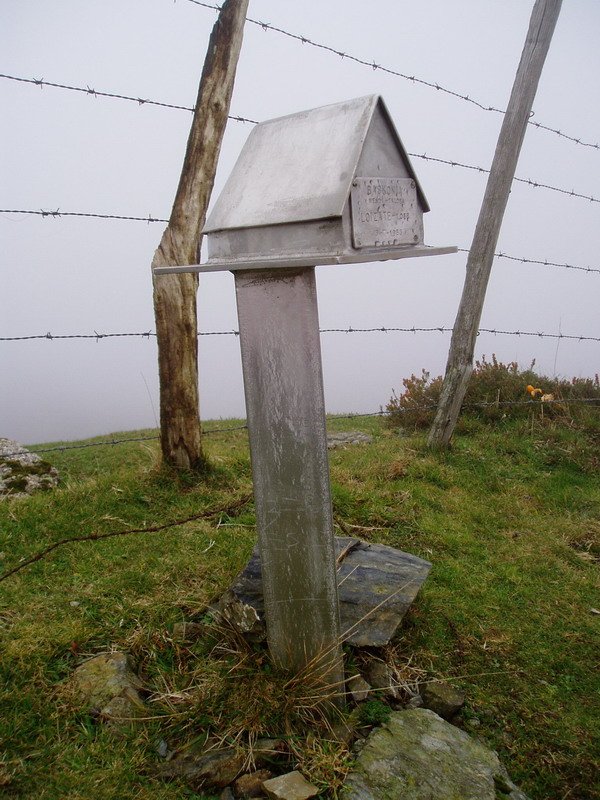 Txartelontzia