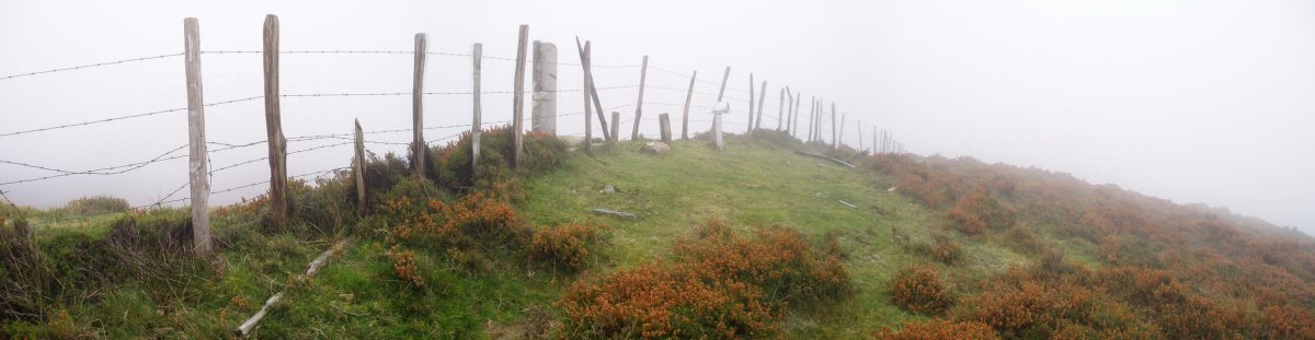 Tontorra