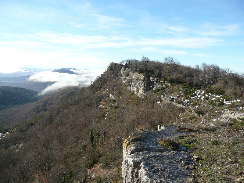 Arburu
