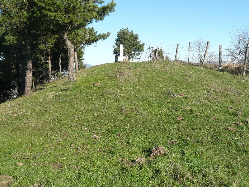 Tontorra