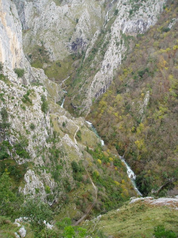 Urdóneko arroila