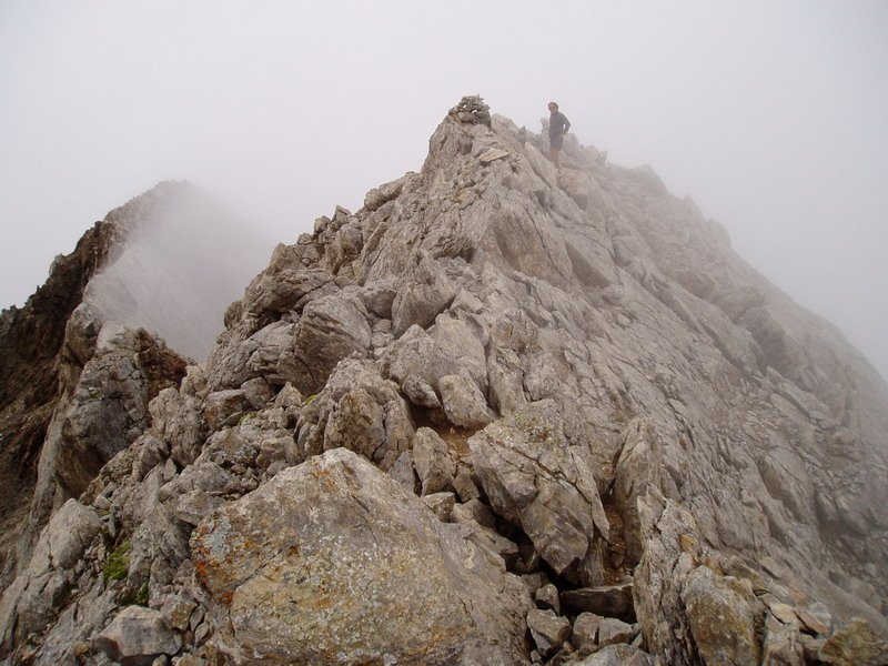 Tontorra