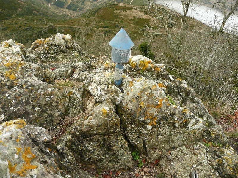 Buzoia