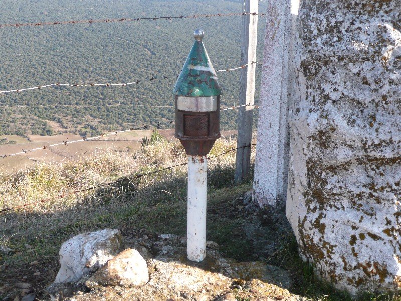Buzoia