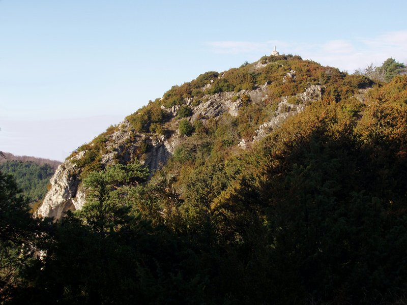 Lakarri 