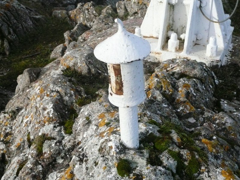 Buzoia