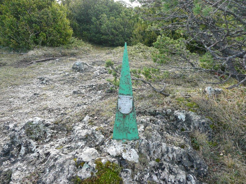 Buzoia