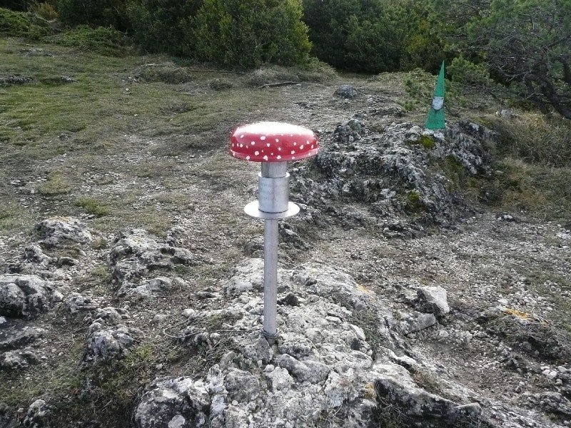 Buzoia