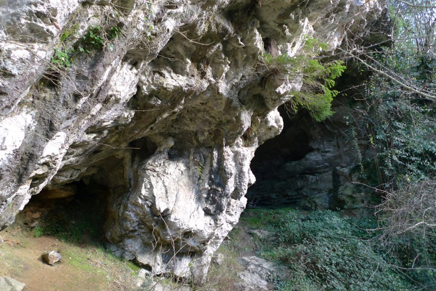 Sarrera