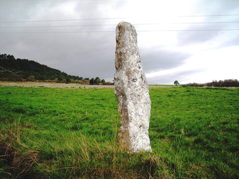 Ribotako zutarria