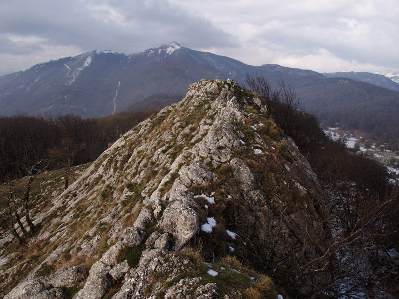 Sollandiko gailurra 
