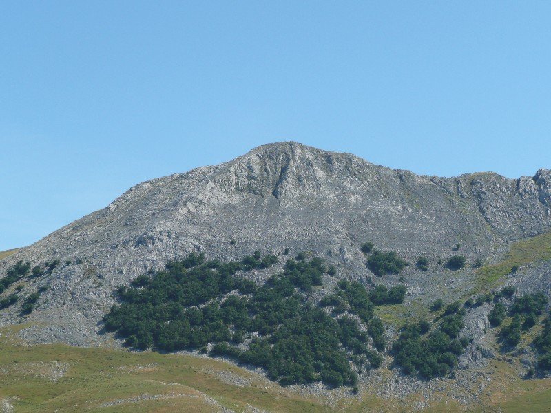 Arbelaitz