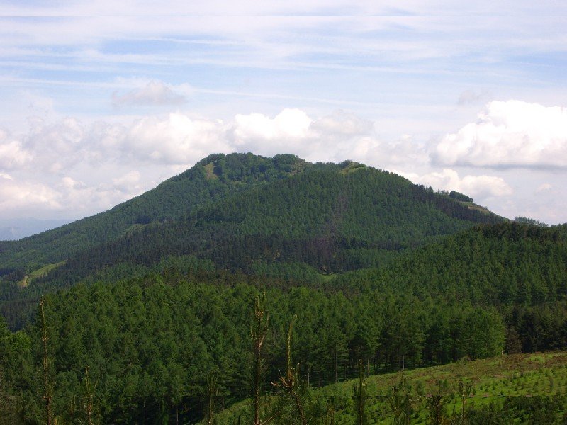 Irimo