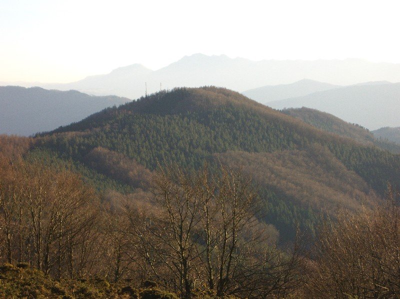 Elosumendi