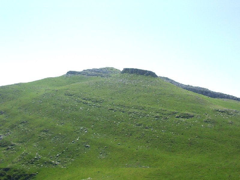 Pardarri