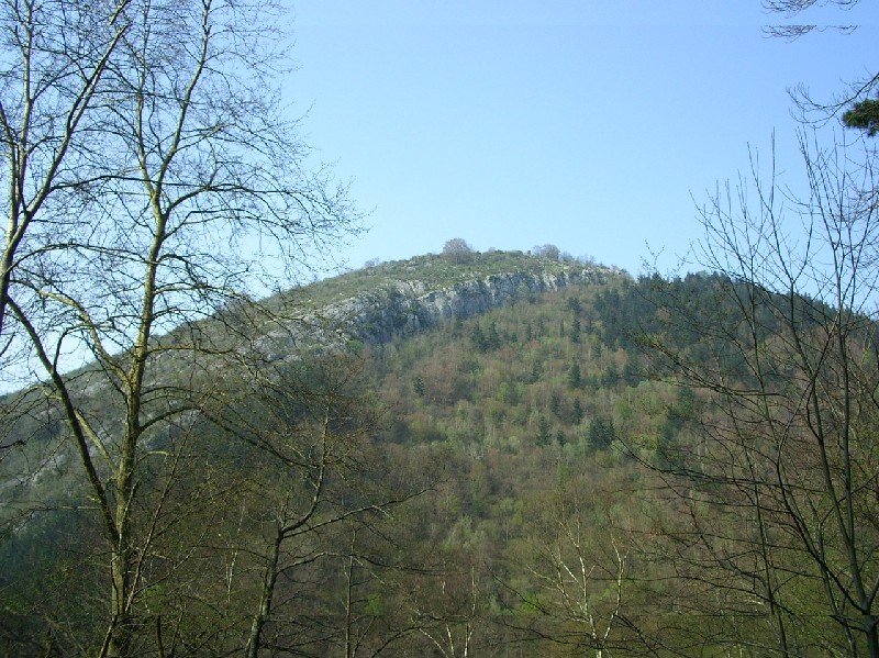 Txarabeltz