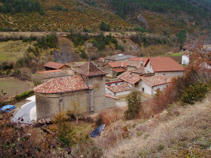 Igari
