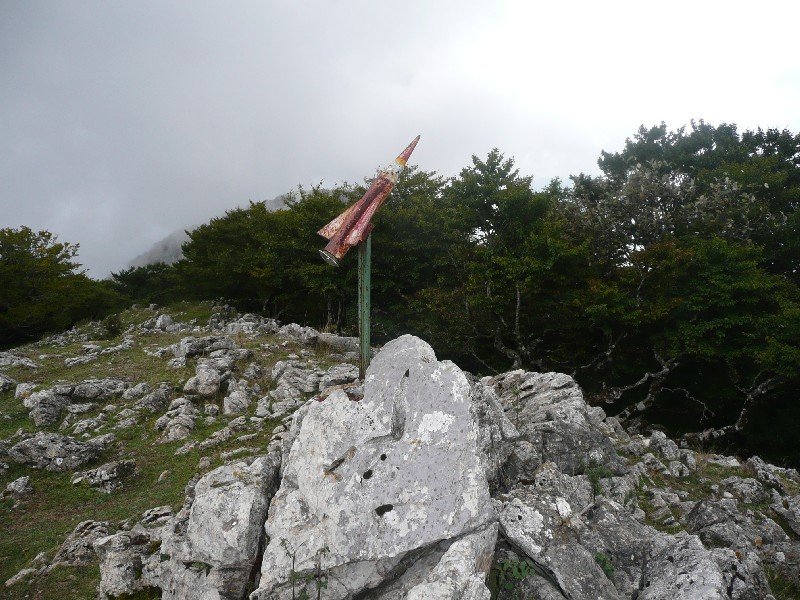 Tontorra