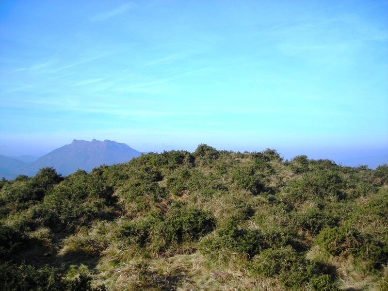 Mandale tumulua