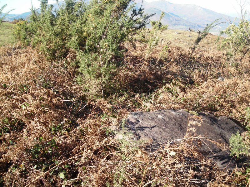 Argaine trikuharria