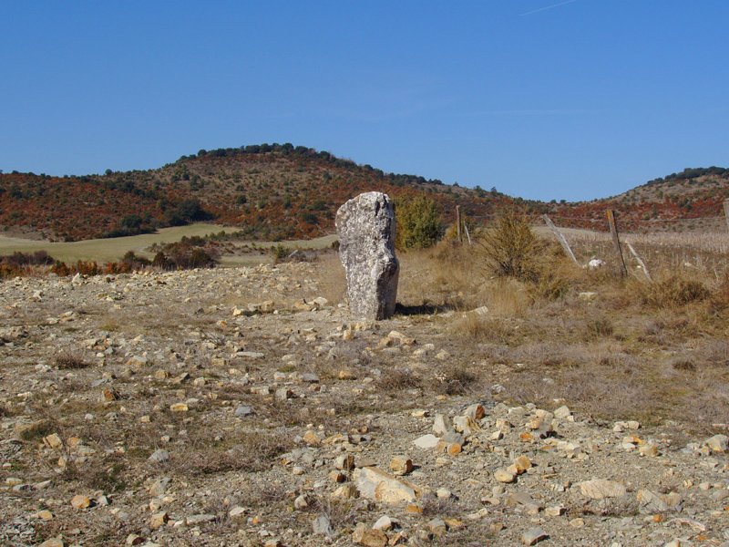 Ugarrako zutarria