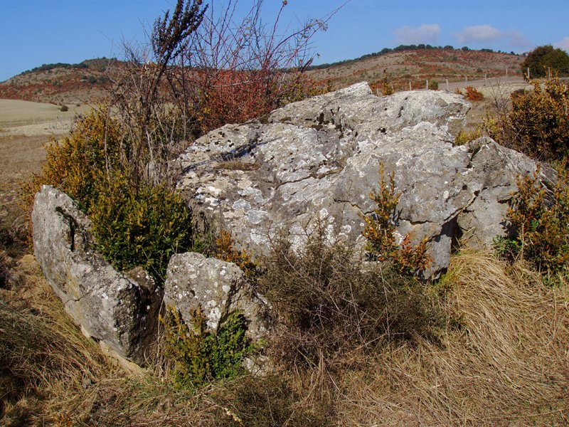 Ugarra 3
