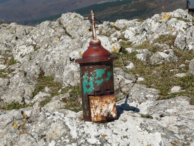 Buzoia