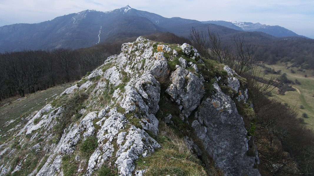 Tontorra