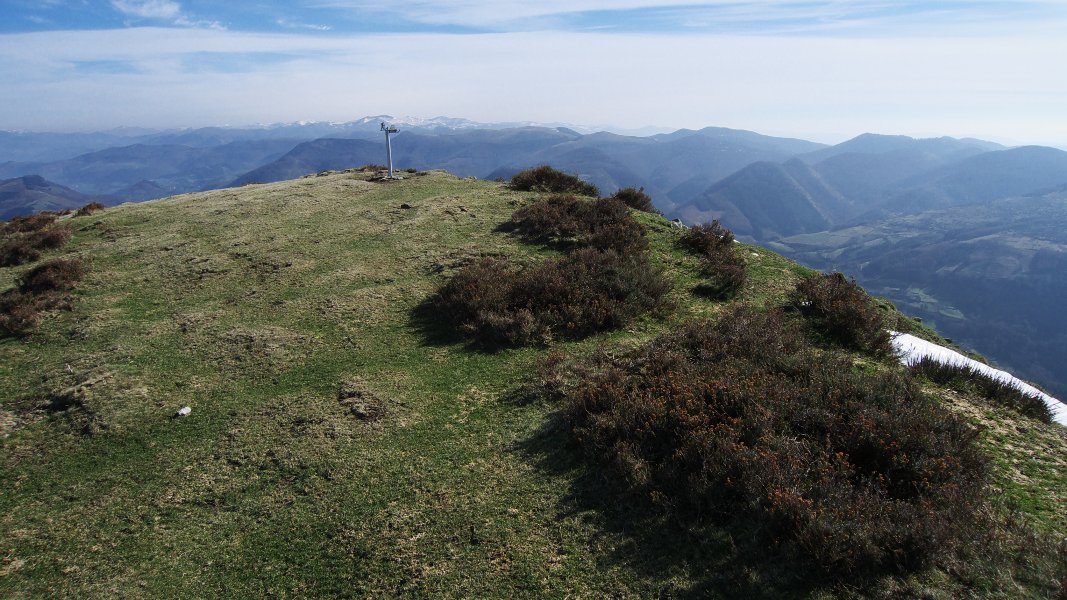 Tontorra