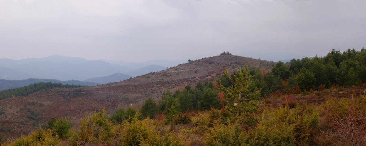 Salbatori