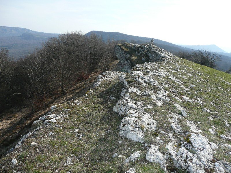 Tontorra