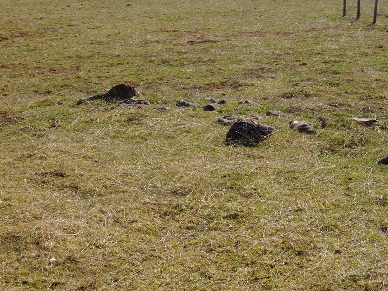 Llano de Erremendia