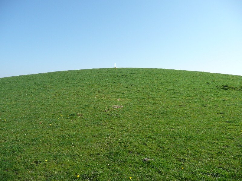 Tontorra