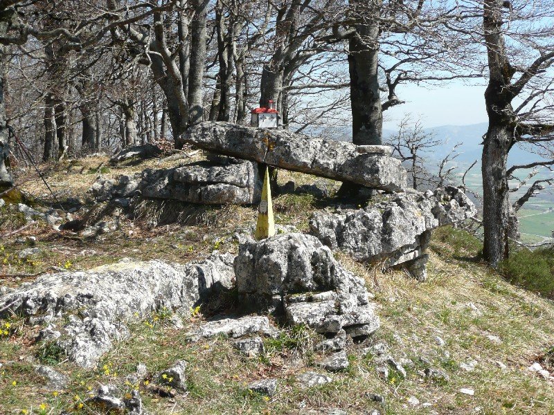 Tontorra