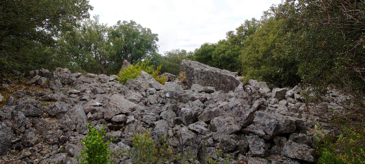 Ugarra 1