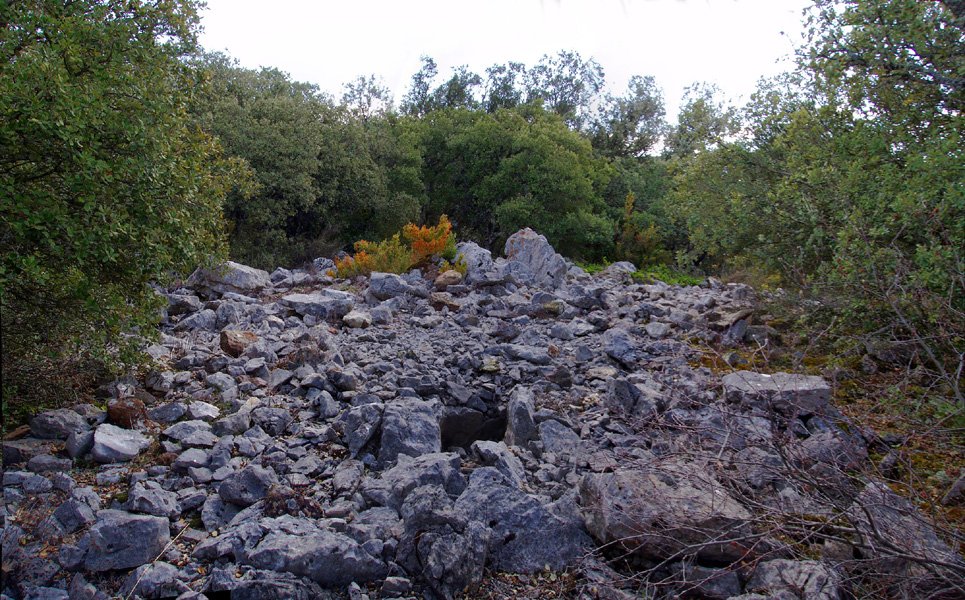Boluntza 1
