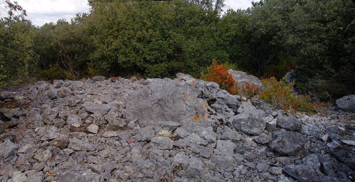 Boluntza 1