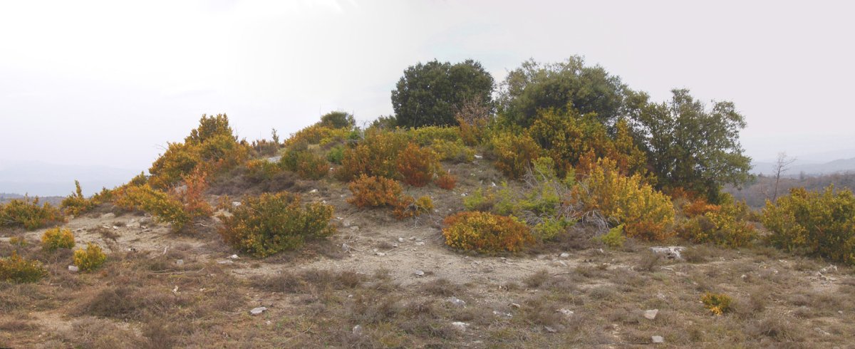 Piedra Blanca