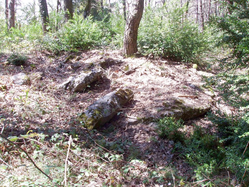 Kabilarte
