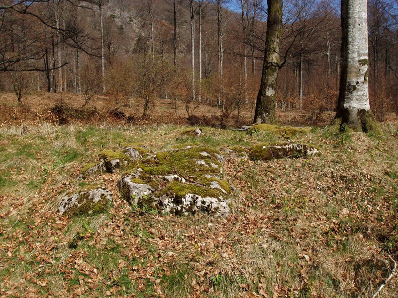 Pitxortzar 2