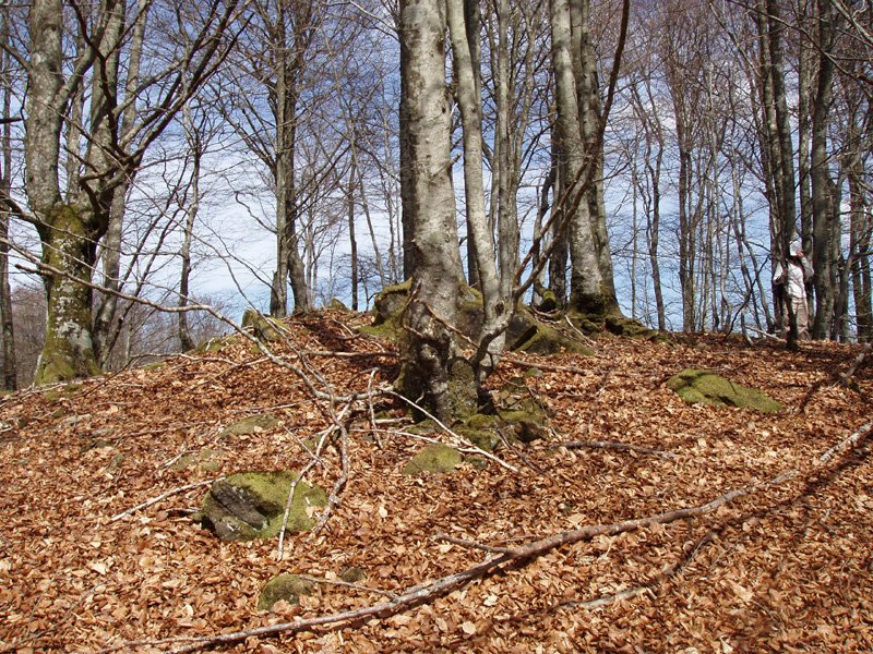 Zamategi