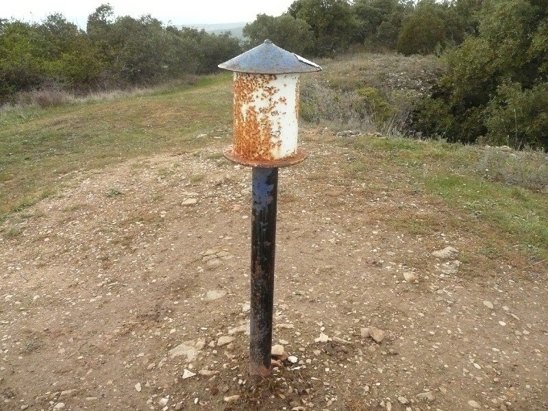 Buzoia