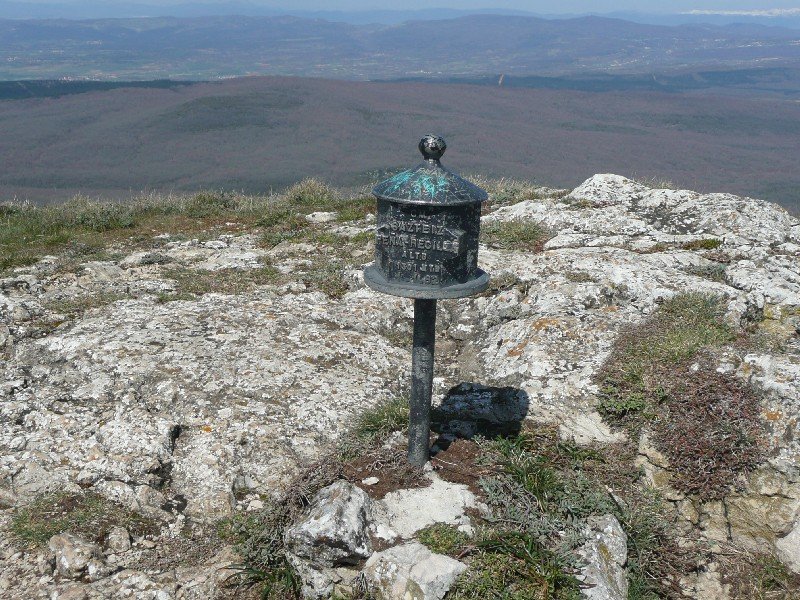 Buzoia