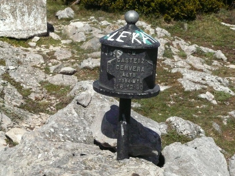 Buzoia