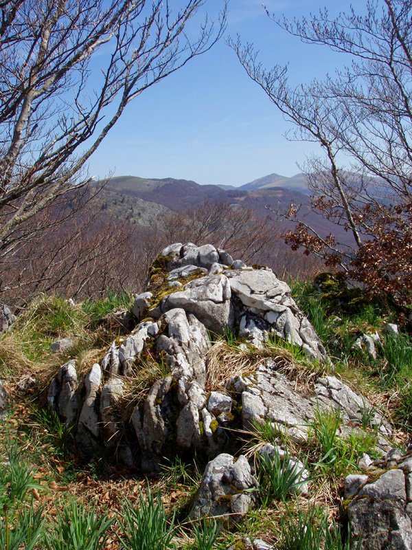 Otsarteko gailurra