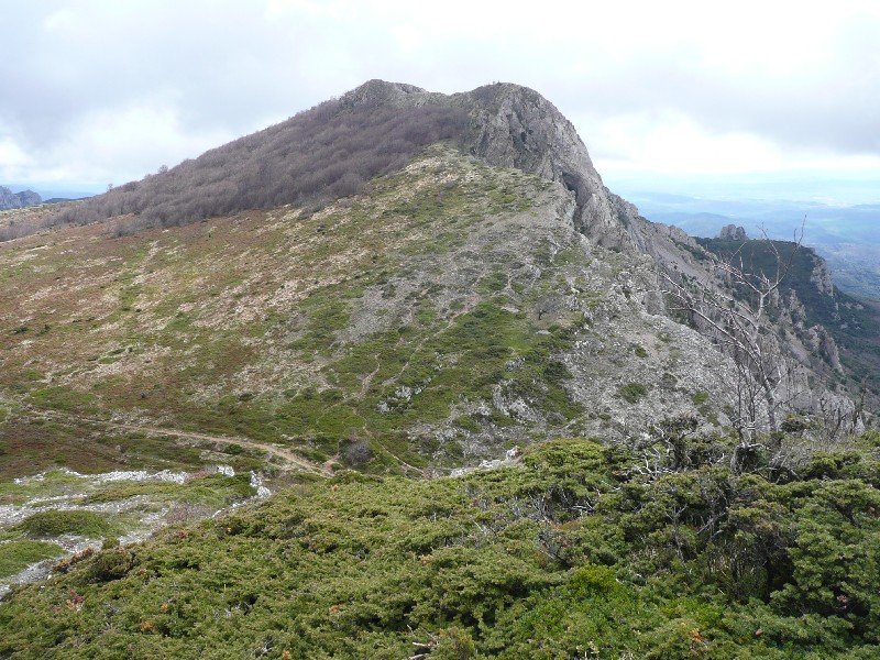 Joar Aldetik