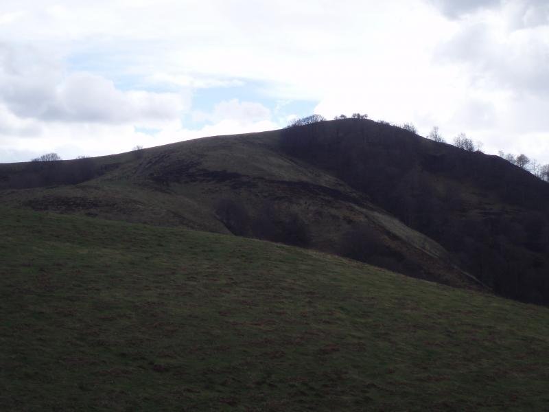 Zalhagaina