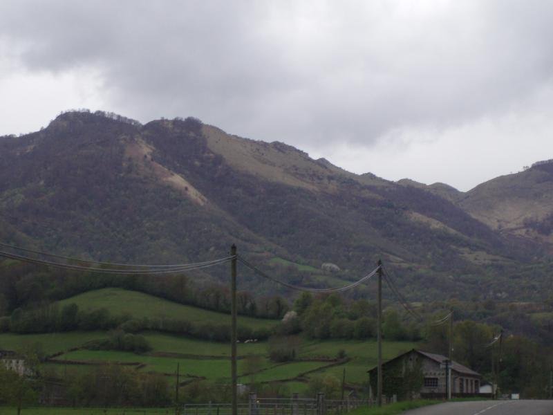 Zalhagaina