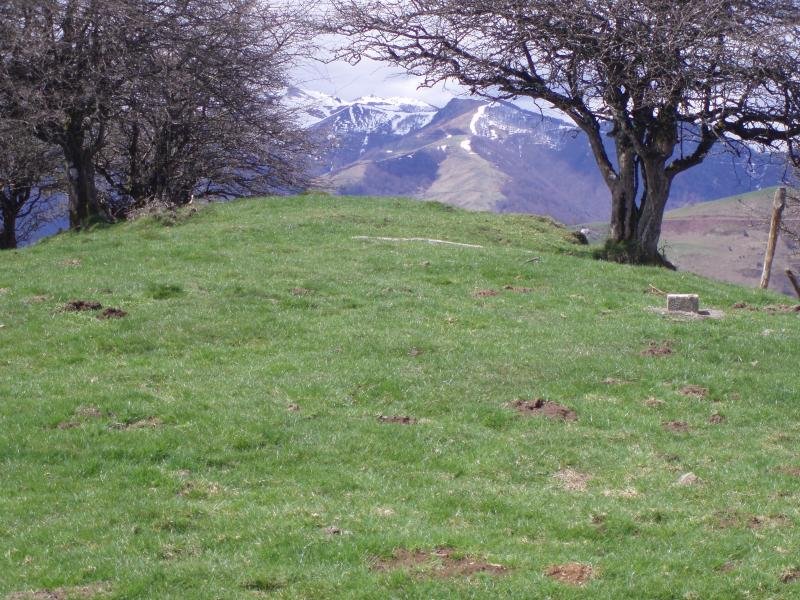 Zalhagaina